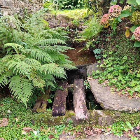 Autres types de maison à vendre à Plonévez-du-Faou dans le Finistère (29530), ref : 29064-1061156