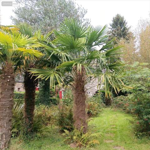 Autres types de maison à vendre à Plonévez-du-Faou dans le Finistère (29530), ref : 29064-1061156