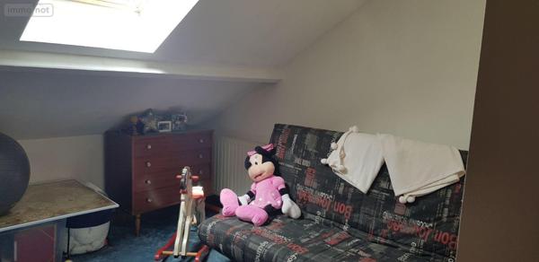 Maison à vendre à Selles-sur-Cher dans le Loir-et-Cher (41130), ref : 41036/2847