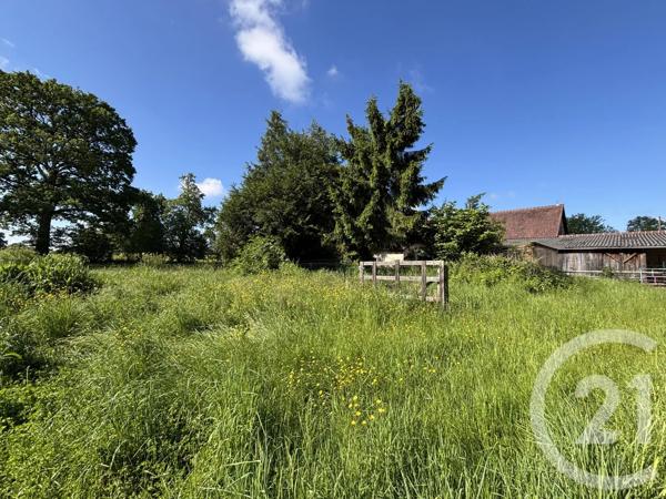 Maison à vendre  8 pièces - 211 m 2   CEAUCE  - 61