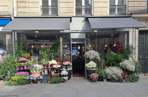 Local Commercial - 50 m² Exclusivité