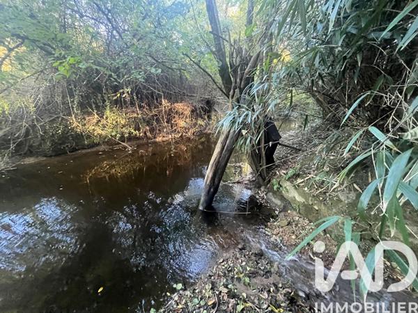 Maison à vendre 3 pièces 67 m² Langoiran