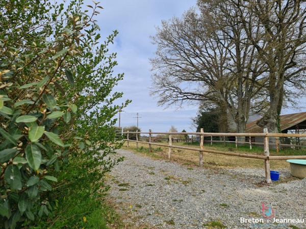 Maison Nuillé Sur Vicoin longère 6 pièce(s)