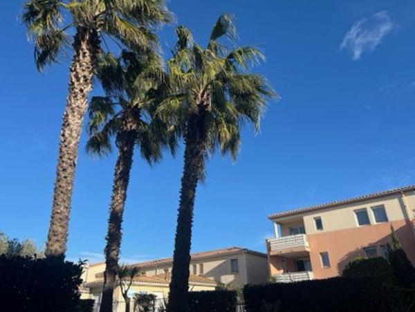 Appartement à vendre |                                       Mèze |                                        2 pièces  |  43 m²