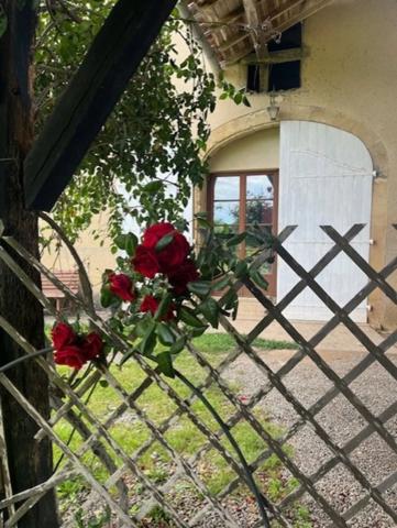 PLAISANCE DU GERS-MARCIAC, AUTHENTIQUE PROPRIETE RURALE 2 hecataressans voisin, sans vis à vis, un peu cachée et pourtant avec une jolie vue sur coteaux gascons