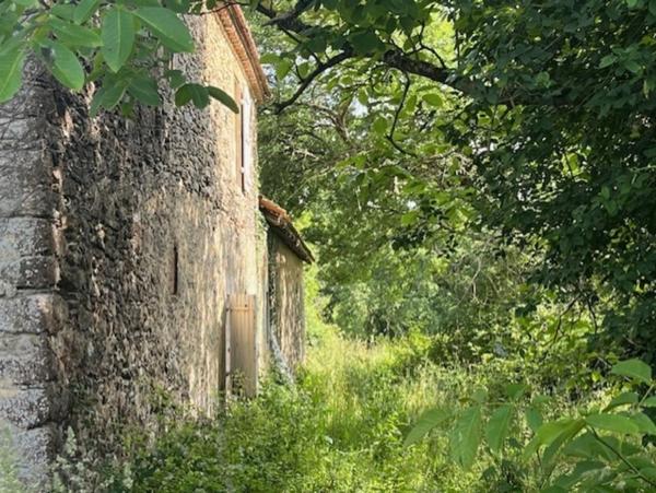 PLAISANCE DU GERS-MARCIAC, AUTHENTIQUE PROPRIETE RURALE 2 hecataressans voisin, sans vis à vis, un peu cachée et pourtant avec une jolie vue sur coteaux gascons