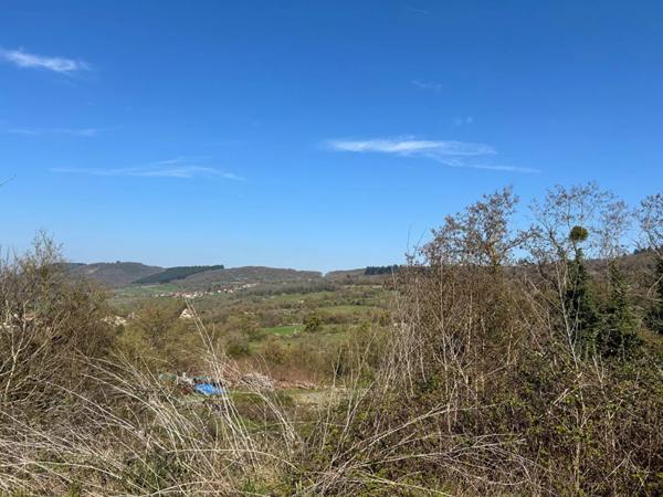 Local commercial à vendre à Blanot (71250)