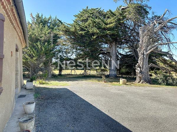 A vendre Maison Nougaroulet 6 pièces 185 m2 sans voisinage 7750m2 de terrain au calme.