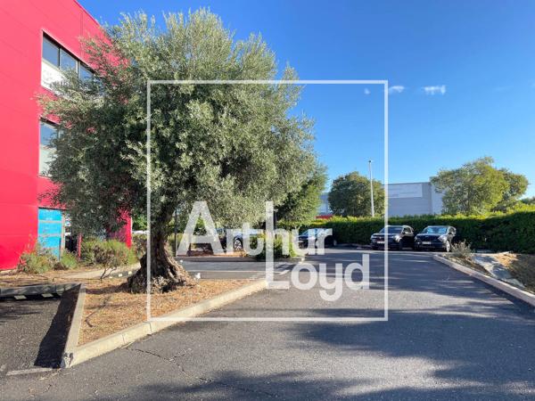 BUREAUX A VENDRE A LOUER - MONTPELLIER GAROSUD
