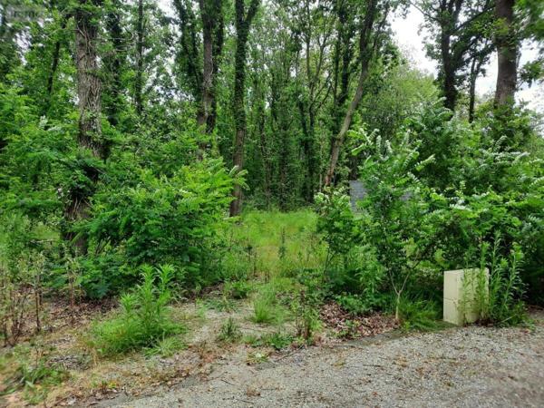 Terrain à Batir à vendre à Soullans en Vendée (85300), ref : 85091-5099