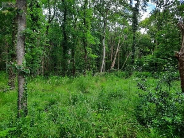 Terrain à Batir à vendre à Soullans en Vendée (85300), ref : 85091-5099