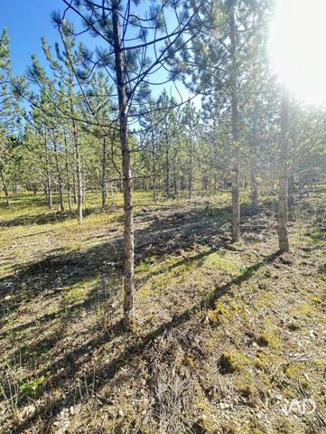 Terrain à vendre 512 m² Mollans-sur-Ouvèze