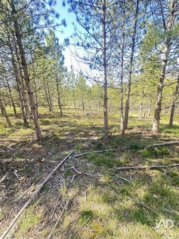 Terrain à vendre 512 m² Mollans-sur-Ouvèze