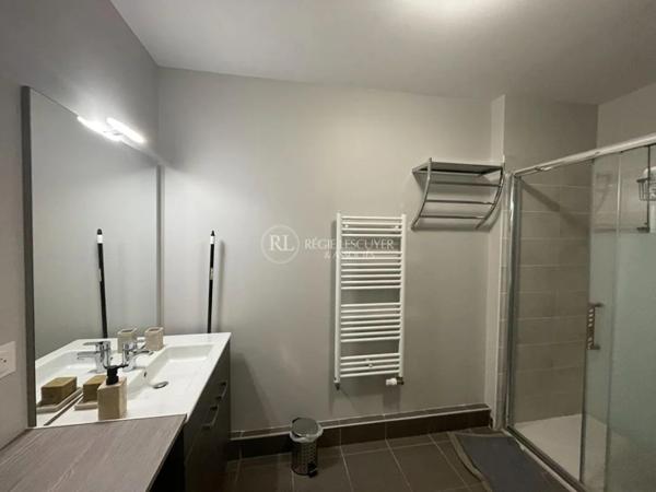 Appartement à louer à Villeurbanne (69100)