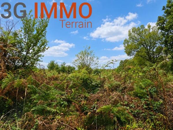 Vente / Terrain à Baudignan (40310)