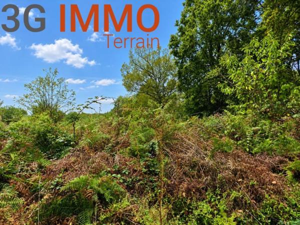 Vente / Terrain à Baudignan (40310)