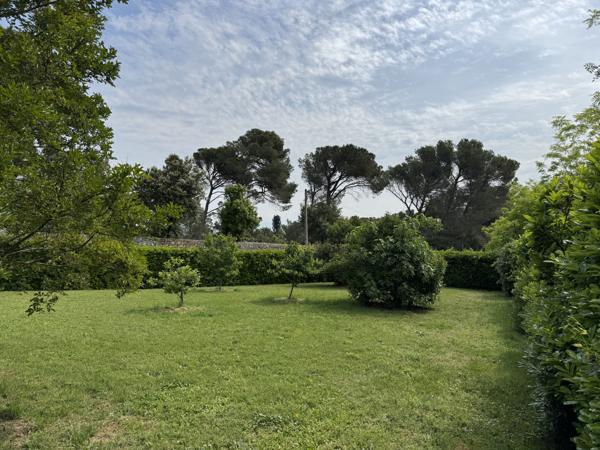 Villeneuve-lès-Avignon (30400) Terrain arboré