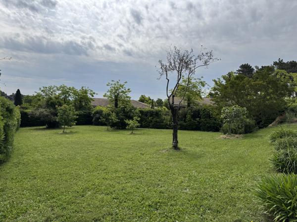 Villeneuve-lès-Avignon (30400) Terrain arboré