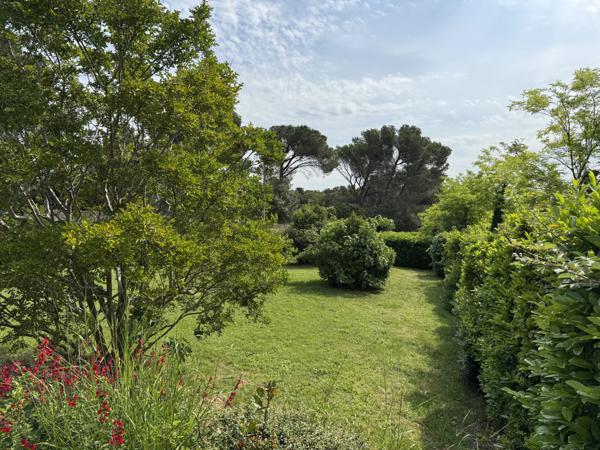 Villeneuve-lès-Avignon (30400) Terrain arboré