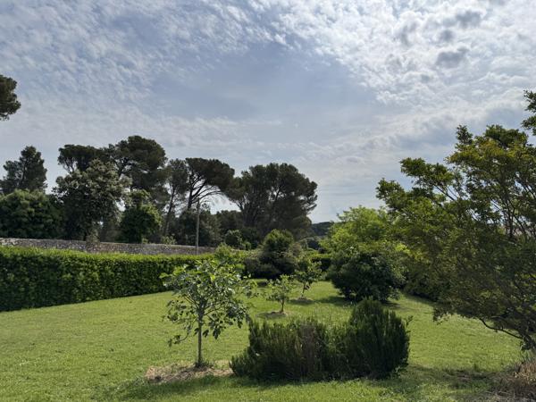 Villeneuve-lès-Avignon (30400) Terrain arboré