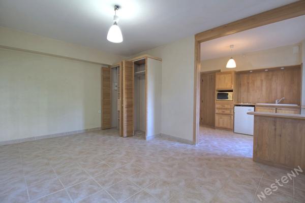 AGEN - immeuble de caractère de 355 m² avec dépendance de 60 m² jardin et garages sur un terrain de 2600 m² environ..