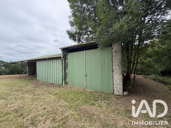 Terrain à vendre 2 356 m² Banos