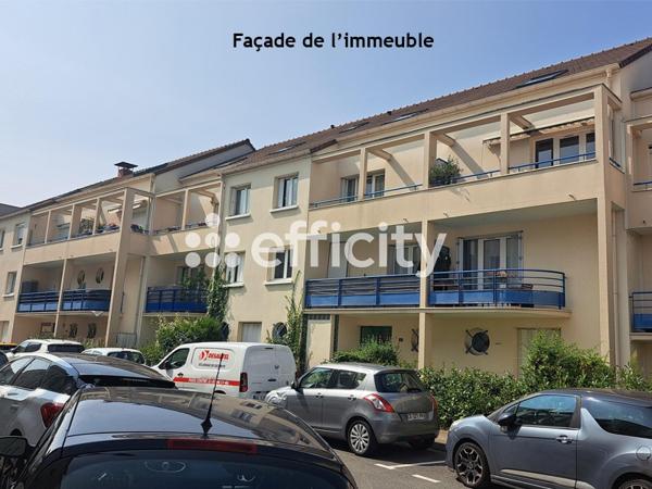 Appartement 5 pièces - 100 m² Exclusivité efficity