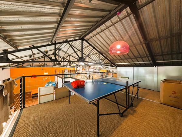 Loft en duplex -  4 chambres - garage et terrasse