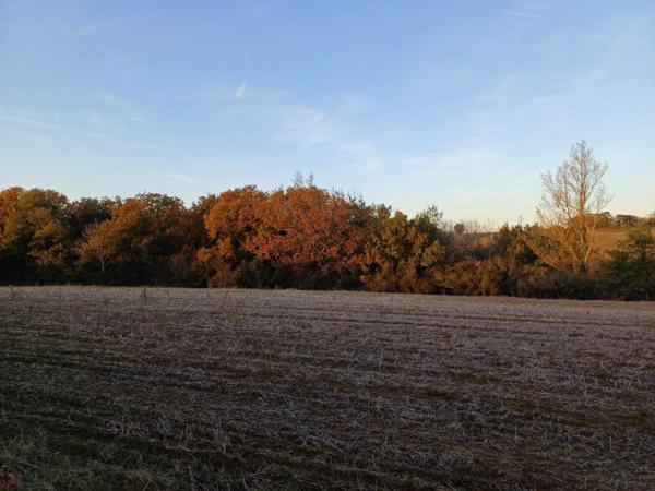 Charmante maison familiale d'environ 185 m² habitables et 80 m² de surface utile