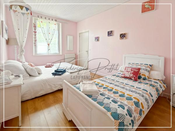 Propriete à vendre possibilité activité professionelle et chambres d'hotes