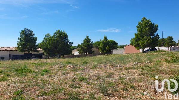 Terrain à vendre 1 041 m² La Palme