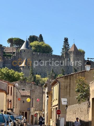 Vente
                Fonds de commerceCARCASSONNE (11000)