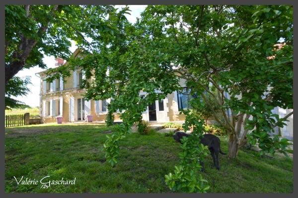 Le pizou - Maison en pierre 257 m² + piscine, nombreuses dépendances et terrain