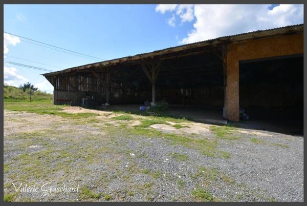 Le pizou - Maison en pierre 257 m² + piscine, nombreuses dépendances et terrain