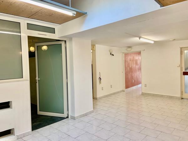 Local professionnel / commercial