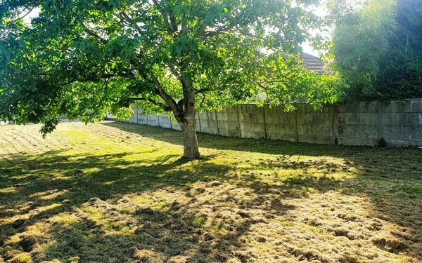 Terrain à vendre    Chaumes-en-Brie