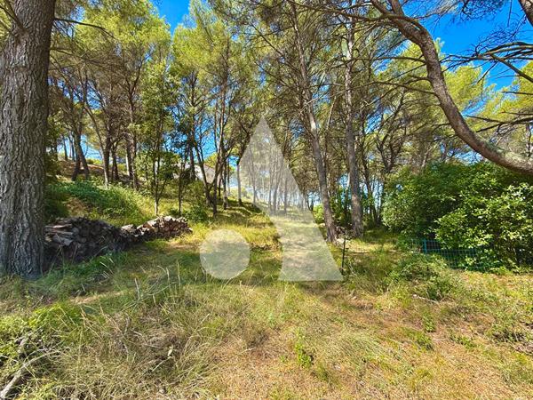 Terrain 4416 m2