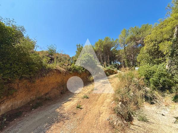 Terrain 4416 m2