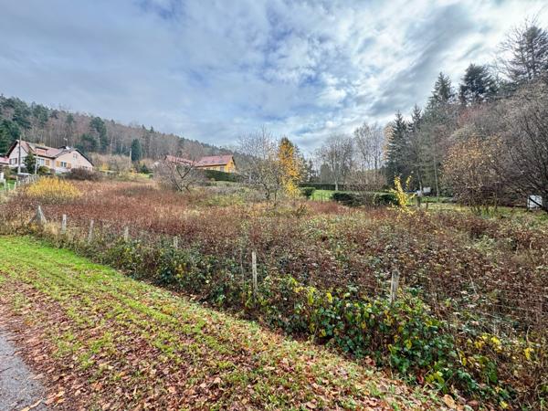 Terrain - 2136 m²