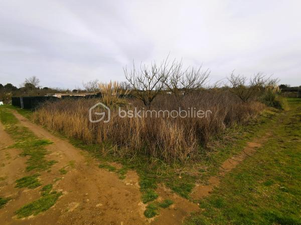 Terrain de loisirs de 7 366 m²