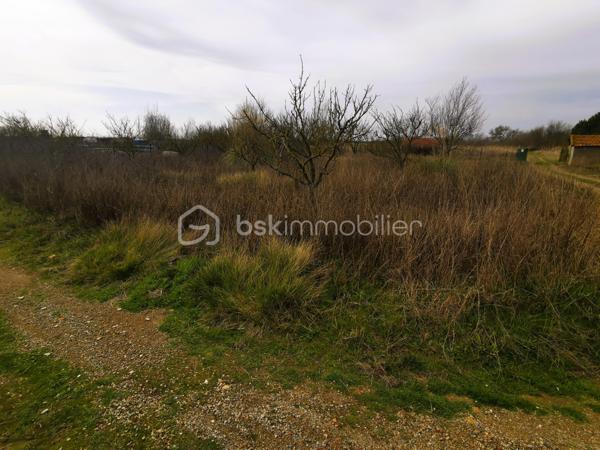 Terrain de loisirs de 7 366 m²