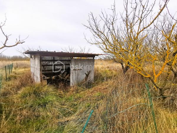 Terrain de loisirs de 7 366 m²