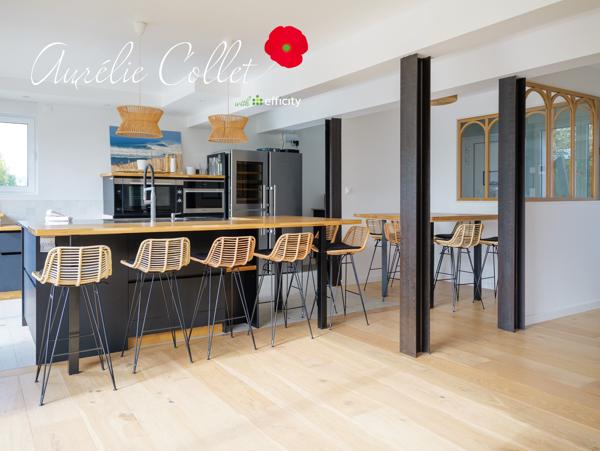 Maison 9 pièces - 240 m² Bien prestige