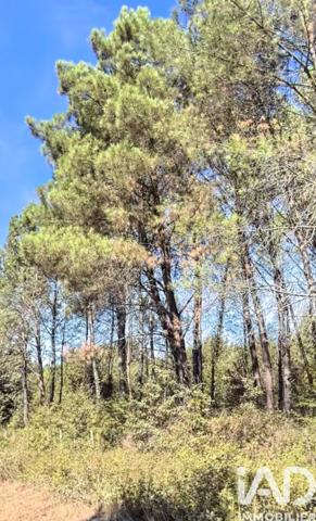 Terrain à vendre 270 000 m² Saint-Barthélemy-de-Bellegarde