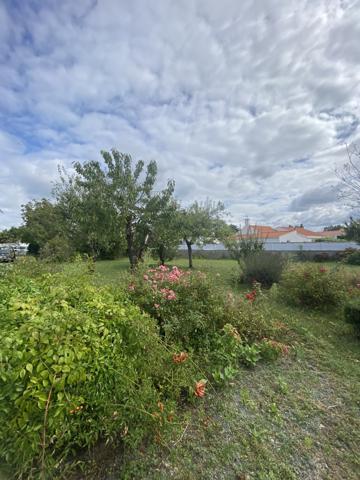 Challans (85300) CHALLANS - TERRAIN CONSTRUCTIBLE DE 580 M²