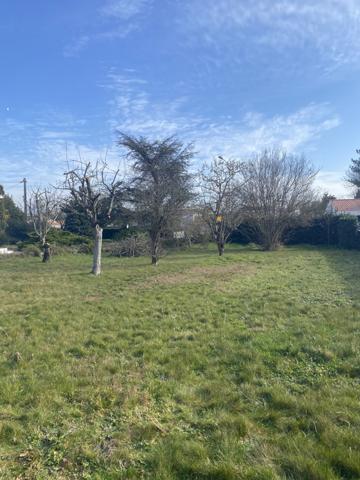 Challans (85300) CHALLANS - TERRAIN CONSTRUCTIBLE DE 580 M²