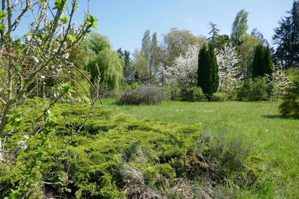 Sur 6400m² de terrain : 2 maisons à rénover !