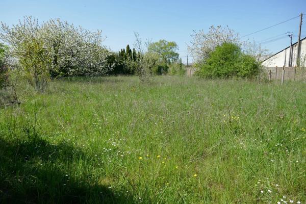Sur 6400m² de terrain : 2 maisons à rénover !