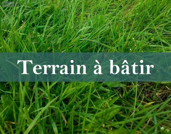 Terrain à Batir à vendre à Le Coudray-Macouard dans le Maine-et-Loire (49260), ref : 49076-283