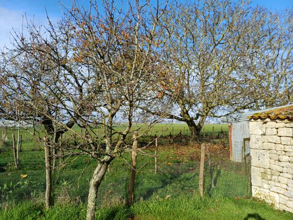 Terrain à batir  1330 m²
